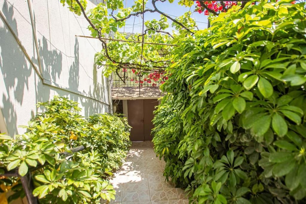 Blue Maraci 2 - Sea View, Kitchen, Beach Access Appartement Himare Buitenkant foto